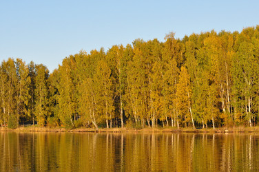 Similar image 1210021