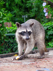 Similar image 1210023