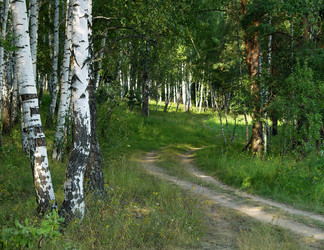 Similar image 1210259