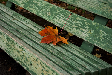 Similar image 1210260