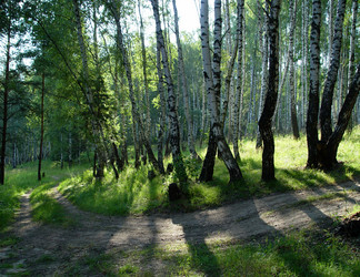 Similar image 1210265