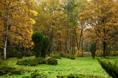 Similar image 1210271