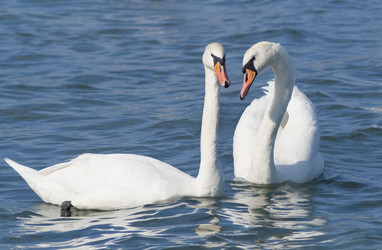 Similar image 1210286