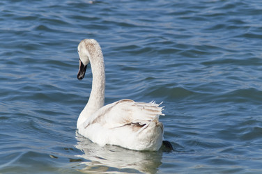 Similar image 1210288