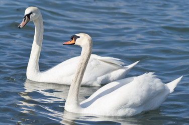 Similar image 1210289