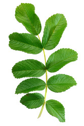 Similar image 1210345