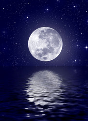 Similar image 1210354