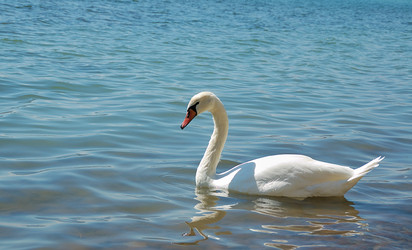 Similar image 1210376