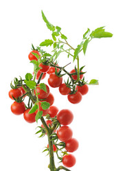 Similar image 1210377