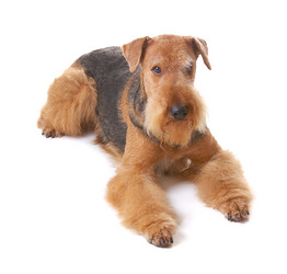 Similar image 1210381