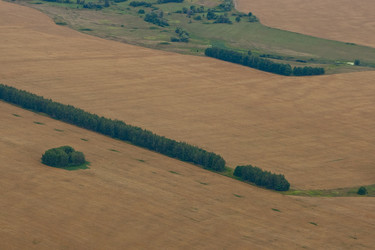 Similar image 1210522