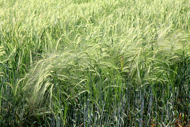 Similar image 1210544