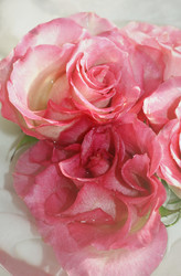 Similar image 1210549