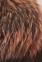 Similar image 1210570