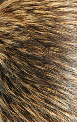 Similar image 1210572