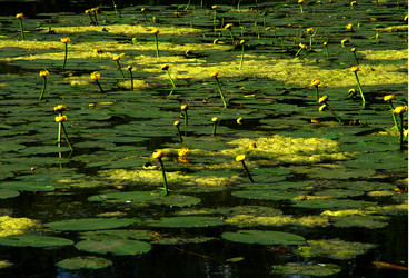 Similar image 1210573