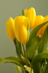 Similar image 1210623