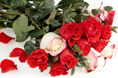 Similar image 1210625