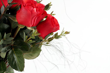 Similar image 1210626