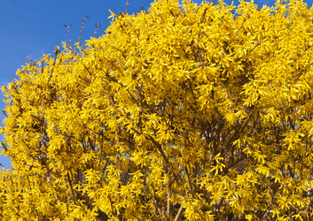 Similar image 1210632