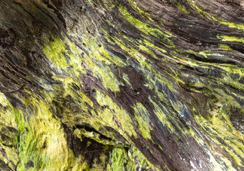 Similar image 1210633