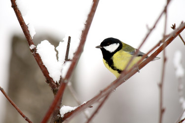 Similar image 1210642