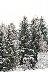 Similar image 1210646