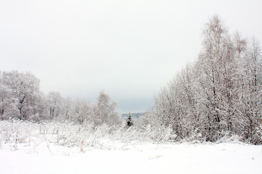 Similar image 1210648