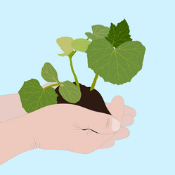 Similar image 1210656