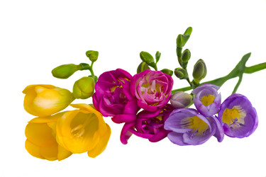 Similar image 1210676