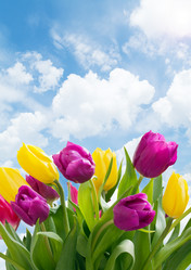 Similar image 1210681