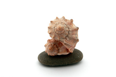 Similar image 1210711