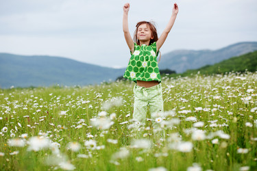 Similar image 1210763