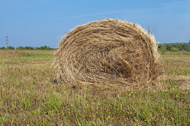 Similar image 1210777