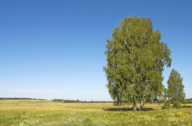 Similar image 1210781