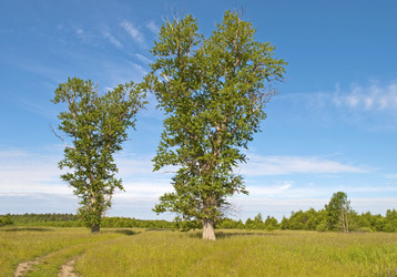 Similar image 1210784