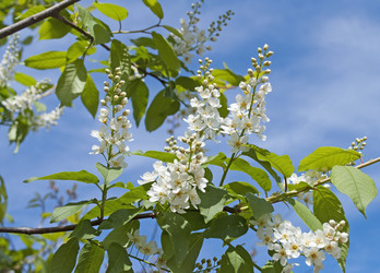 Similar image 1210786