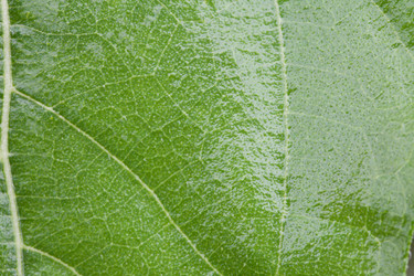 Similar image 1210797