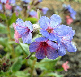 Similar image 1210816