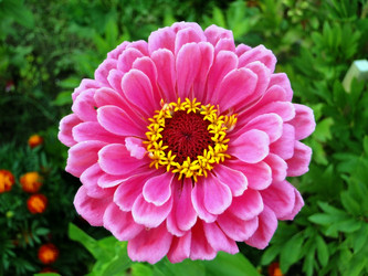 Similar image 1210817