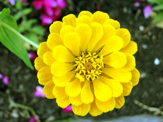 Similar image 1210818