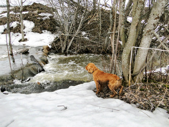 Similar image 1210819