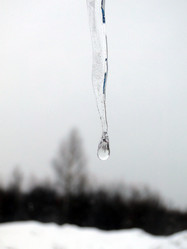 Similar image 1210821