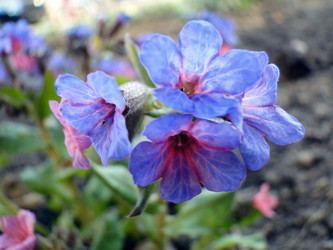 Similar image 1210822