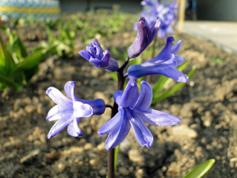 Similar image 1210823