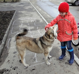 Similar image 1210826