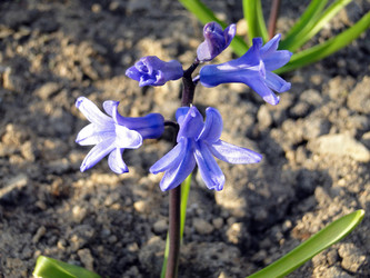 Similar image 1210828