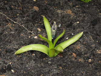 Similar image 1210832