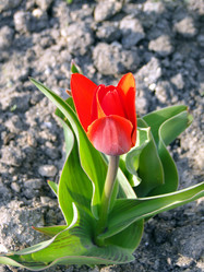 Similar image 1210833