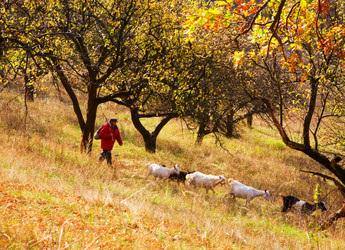 Similar image 1210901